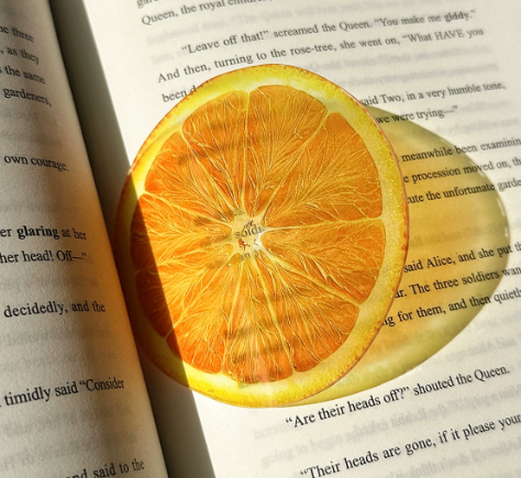 Fruit bookmark - Orange at Kleines Glück in Magdeburg