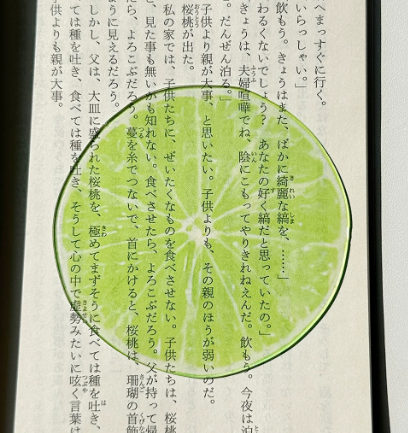 Fruit bookmark - Lemon at Kleines Glück in Magdeburg